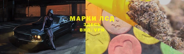 спиды Алзамай