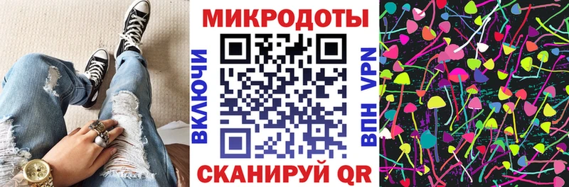 Псилоцибиновые грибы Psilocybine cubensis  Череповец 